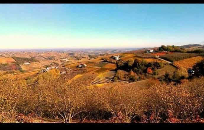 Maison Younesco - Villa Indipendente Exclusive Castagnole delle Lanze Εξωτερικό φωτογραφία